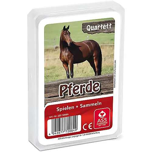 Quartett Pferde