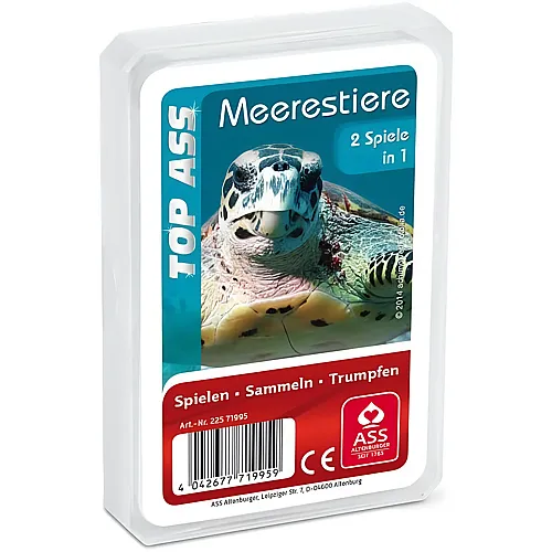 Quartett Meerestiere