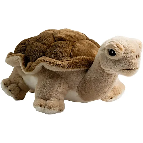 Tartaruga di terra - 21 cm