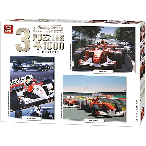 King Collezione Auto da Corsa 3in1 - 1000 pezzi