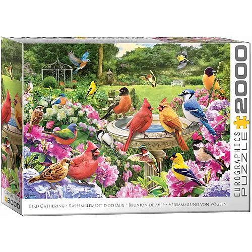 Eurographics Puzzle Gartenv�gel Treffen - 2000 Teile