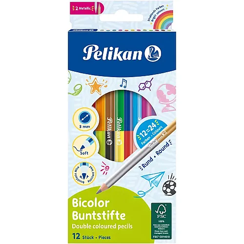 Buntstifte Bicolor 12Teile