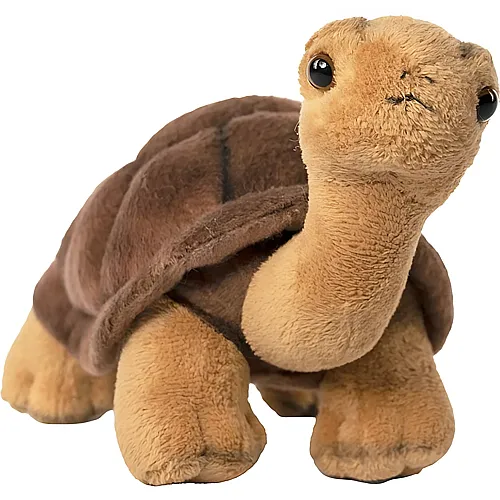 Schildkr�te - 22 cm