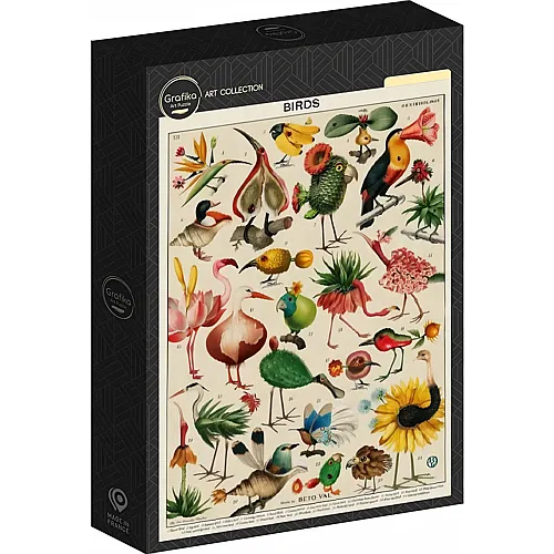 Grafika Puzzle Puzzle 500 Teile Birds by Beto Val