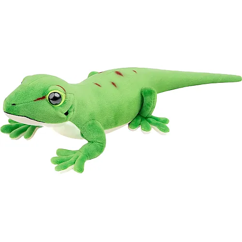 Taggecko - 53 cm