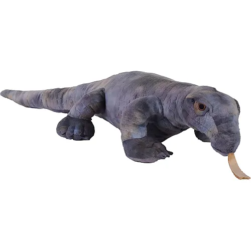 Komodowaran 30cm