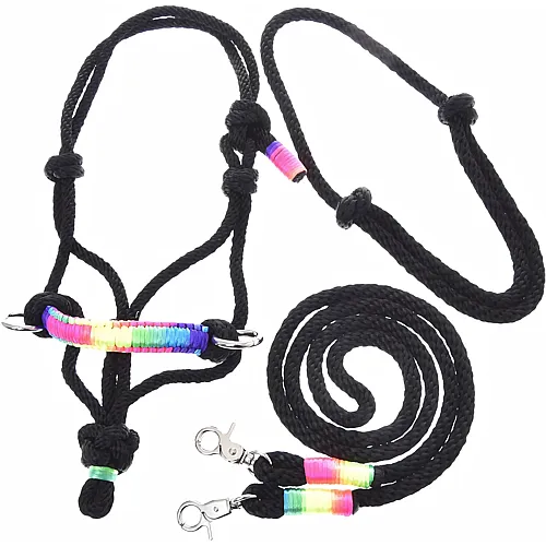 Licol avec r�nes & encolure pour cheval de bois taille M arc-en-ciel