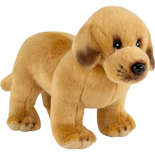 Carl Dick Labrador stehend - 20 cm