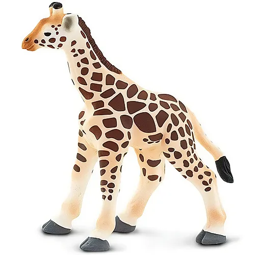Safari Ltd. Wildlife Giraffenbaby