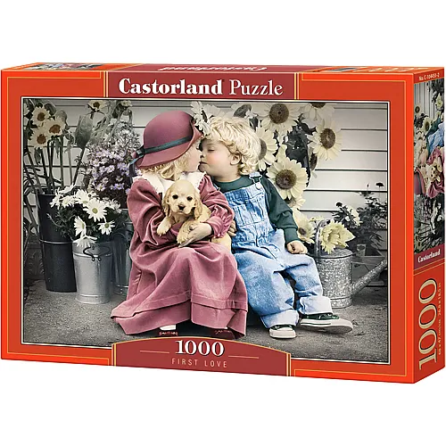 Castorland Puzzle First Love - 1000 Teile