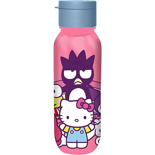 Kids Licensing Hello Kitty Trinkflasche 500ml Aluminium und PP