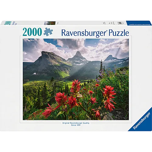 Pristine Mountains 2000Teile