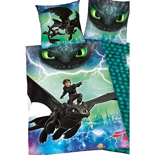 Bettw�sche-Set Dragons mit Wendemotiv 135x200cm