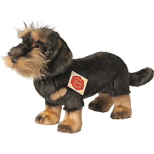 Teddy-Hermann Rauhaardackel stehend - 28 cm