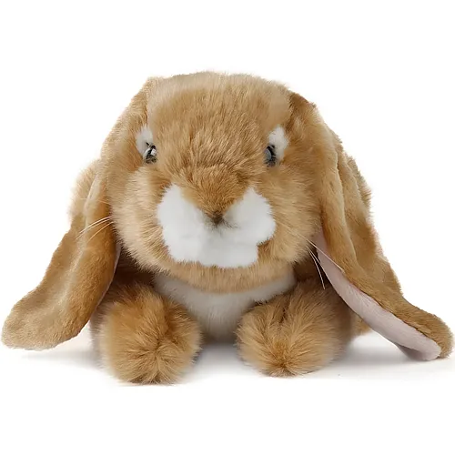 Schlappohr-Kaninchen Braun 24cm