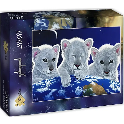 Grafika Puzzle William Schimmel Secret, Mystery and Hope - 2000 Teile