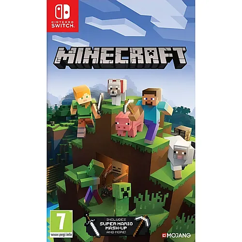 Nintendo Minecraft, Switch