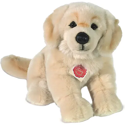 Golden Retriever sitzend - 30 cm