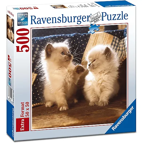 Ravensburger Puzzle 500 Teile Puzzle 500 Teile quadratisch - Himalaya-Perserkatzen