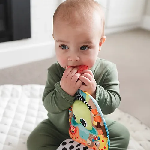 Tomy Finlee Frosch Entdeckungsbuch verschiedene H�te, raschelnde