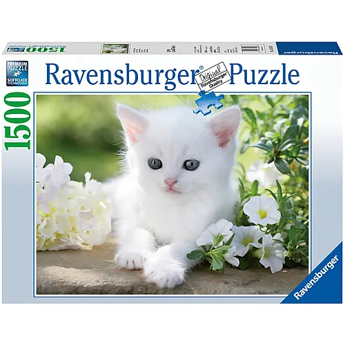 Ravensburger Puzzle Weisses K�tzchen - 1500 Teile