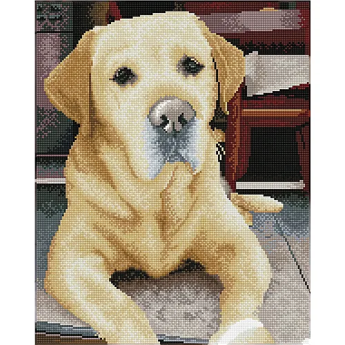 Diamond Dotz Labrador