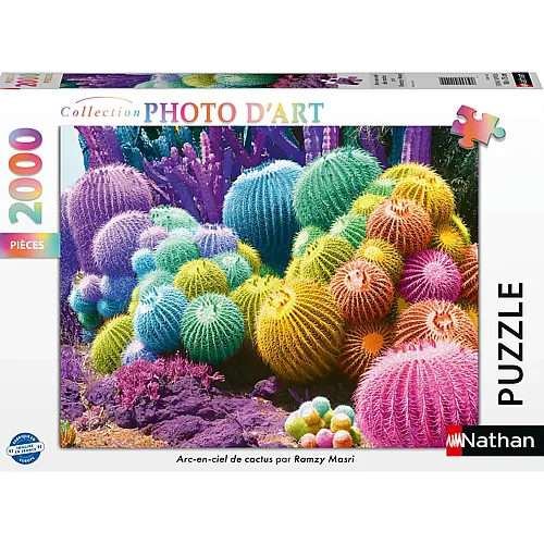 Regenbogen aus Kaktus - 2000 Teile