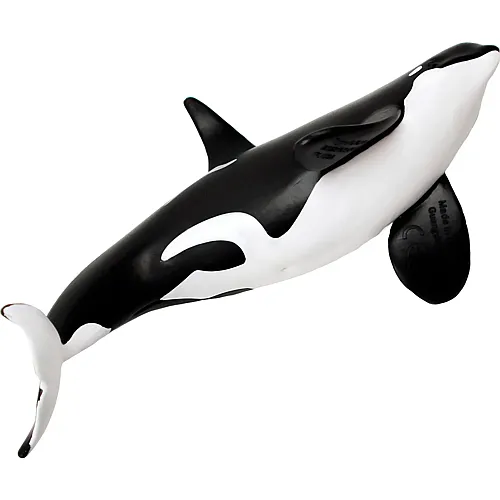 Type D Orca