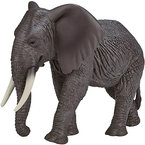 Mojo Wildlife Afrikanischer Elefant