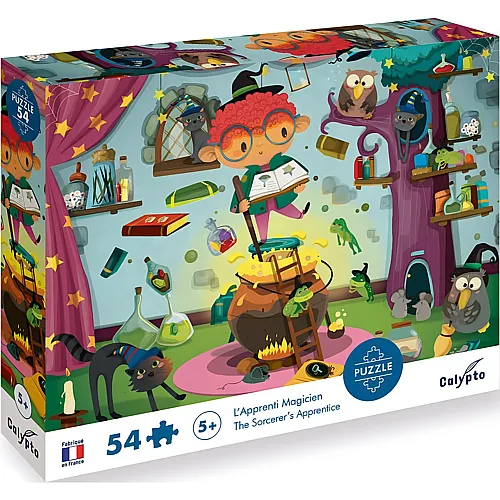 Calypto Puzzle Zauberlehrling - 54 Teile