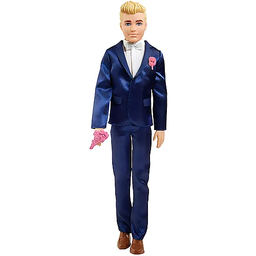 Barbie Familie & Freunde Ken Brutigam Puppe