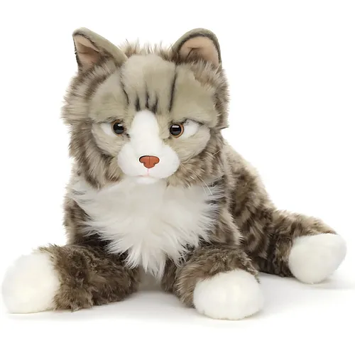 Norwegische Waldkatze 46cm