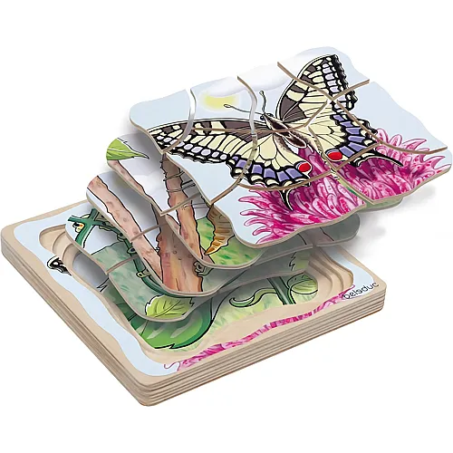 Schmetterling