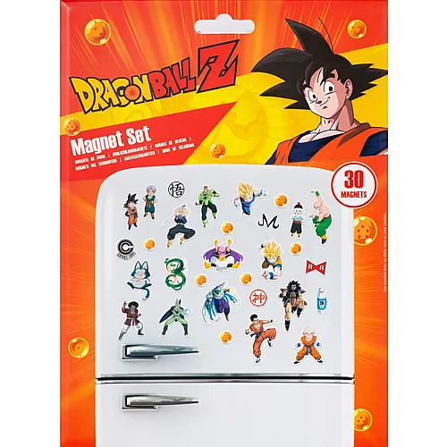 Pyramid Dragonball Z Magnet Set