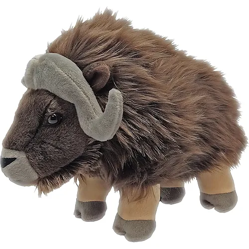 Moschusochse 30cm