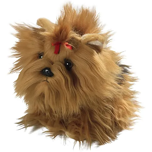 Yorkshire Terrier Welpe - 22 cm
