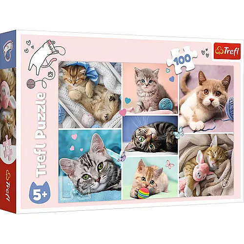 Trefl Puzzle World of Cats - 100 Teile