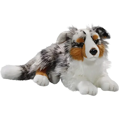Carl Dick Australischer Sch�ferhund - 45 cm