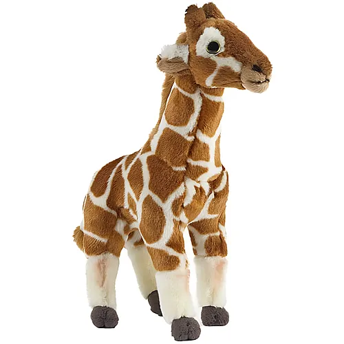Giraffenjunges 32cm