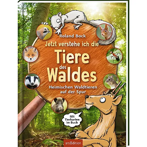 Jetzt verstehe ich die Tiere des Waldes