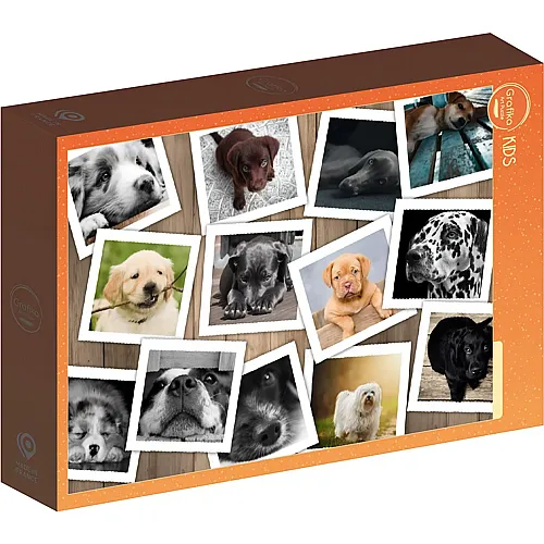 Grafika Puzzle Art Collection Grafika Kids Collage - Chiens - 48 Teile