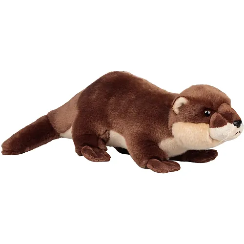 Otter 38cm