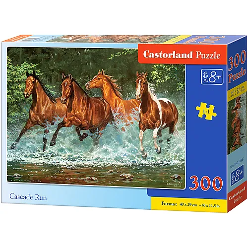 Castorland Puzzle Cascade Run (300Teile)