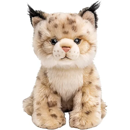 Luchs Junges 22cm