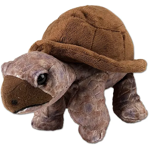 Wild Republic African Schildkr�te - 20 cm
