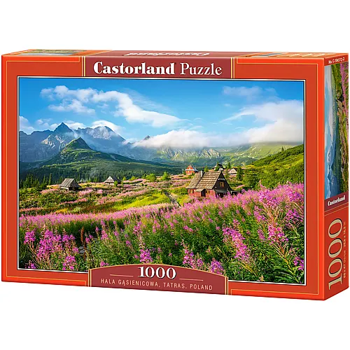 Castorland Puzzle Tatras, Polen - 1000 Teile