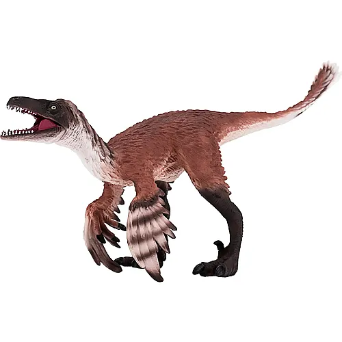 Troodon mit beweglichem Kiefer