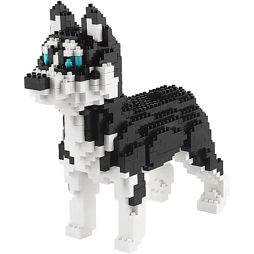 Husky Schlittenhund - 950 Teile