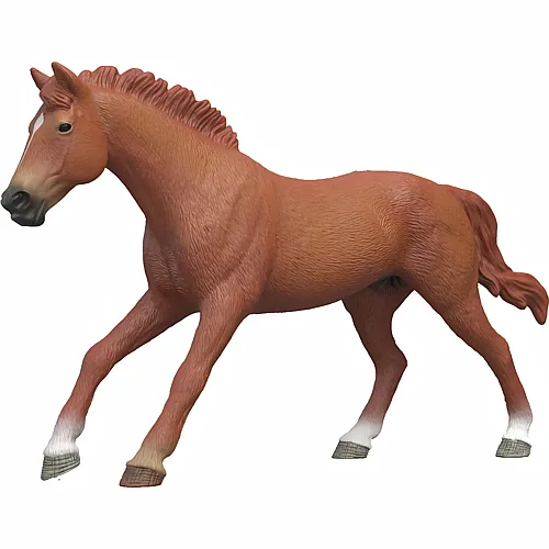 Schleich Horse Club Englisches Vollblut Hengst