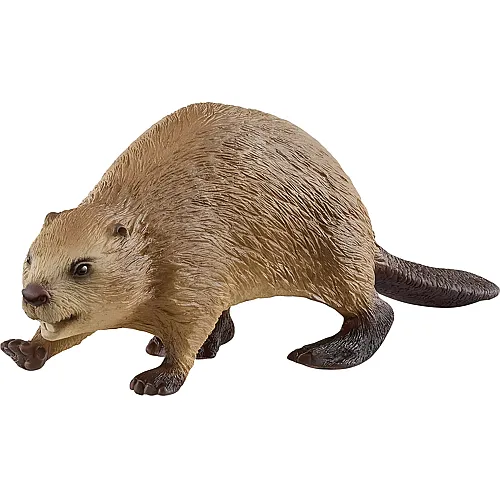 Schleich Wild Life Biber